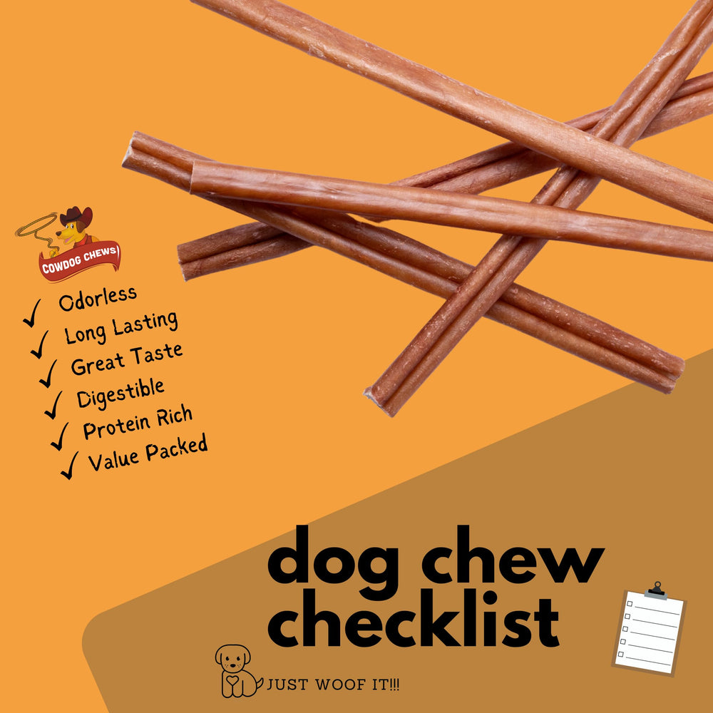 Cowdog Chews beef bully-stick in dog's mouth displaying natural flavor and texture