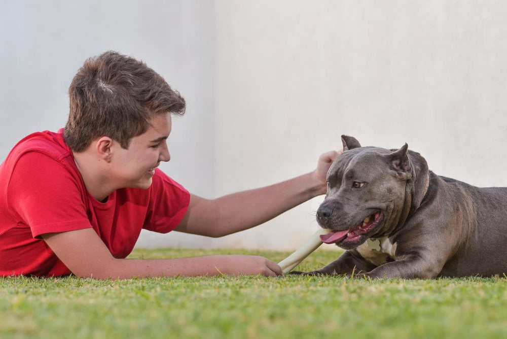 Cowdog Chews collagen-rich formula supports joints, bones, and coat health.