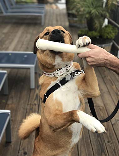 Cowdog Chews collagen-rich rawhide may support joints and coat in active dogs