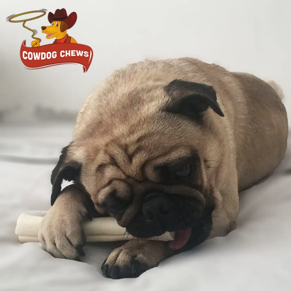 Cowdog Chews dog chewing on rawhide captures real-life chew action.