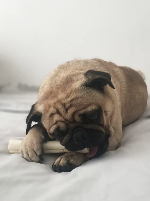 Cowdog Chews rawhide retriever roll dog-chewing action—safe distraction.