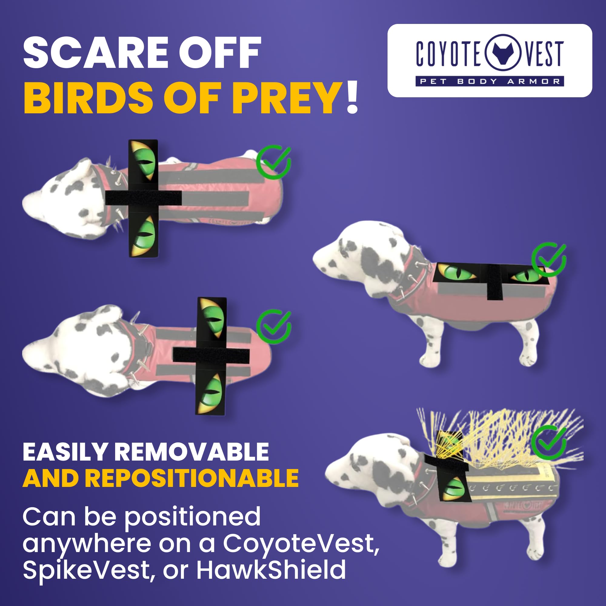 CoyoteVest HawkEyes worn during outdoor walk shows predator deterrence in daylight