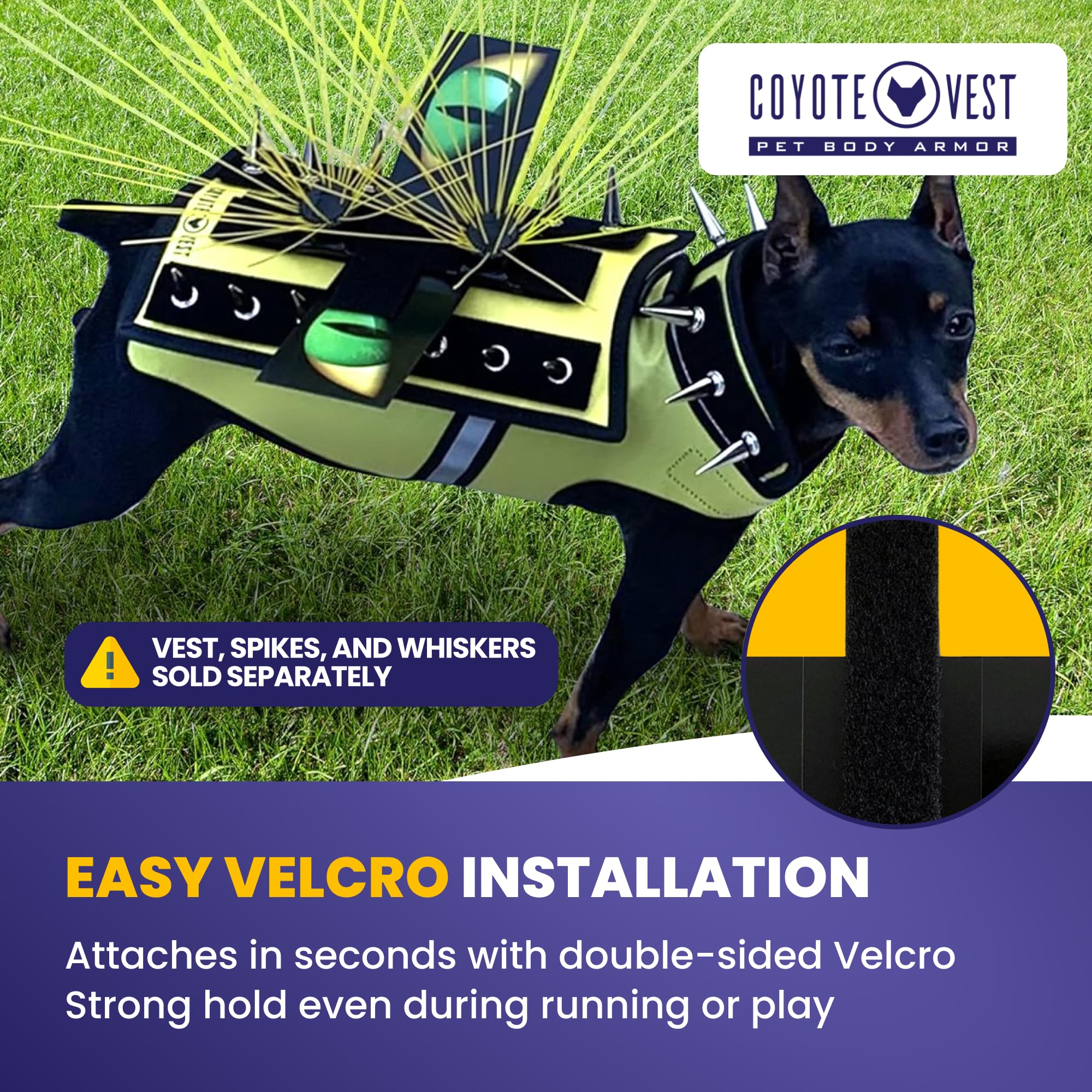 CoyoteVest HawkEyes layered vesting setup demonstrates compatibility with other gear
