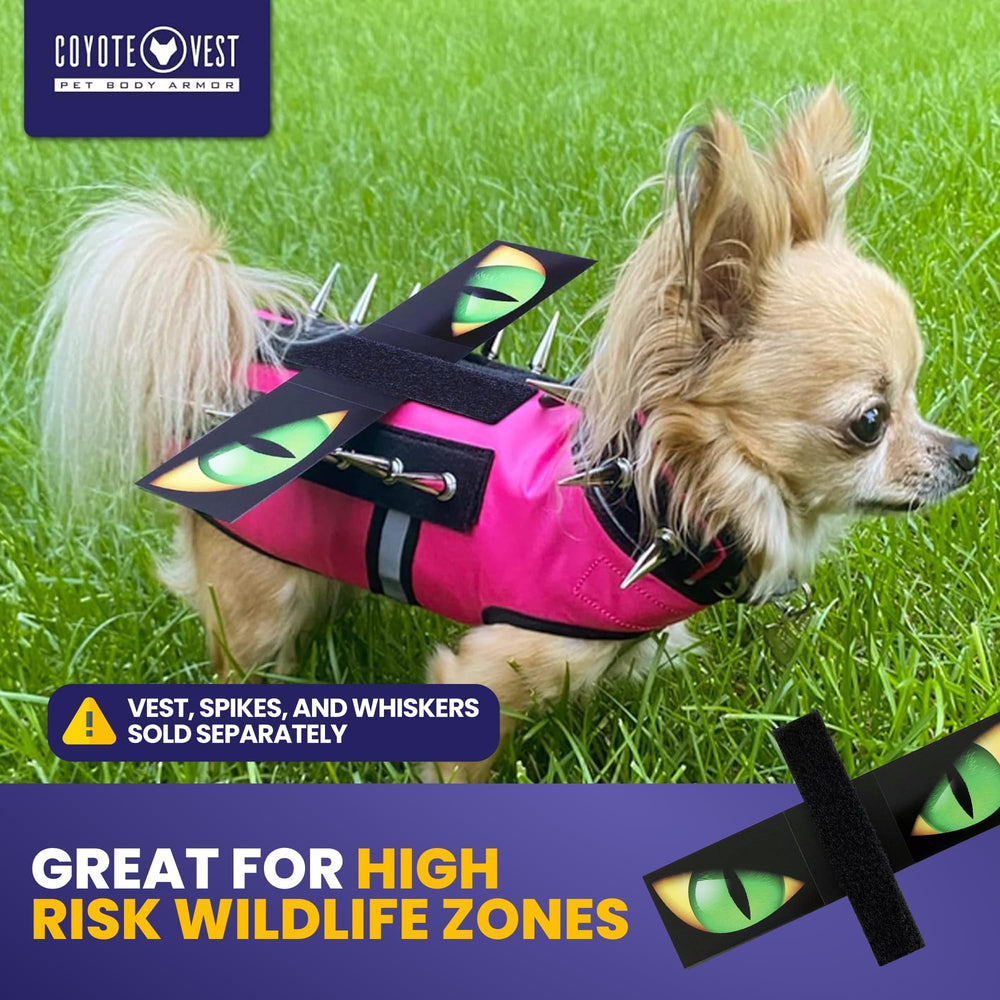 CoyoteVest HawkEyes lightweight plastic sheet provides comfortable protection on dogs during walks
