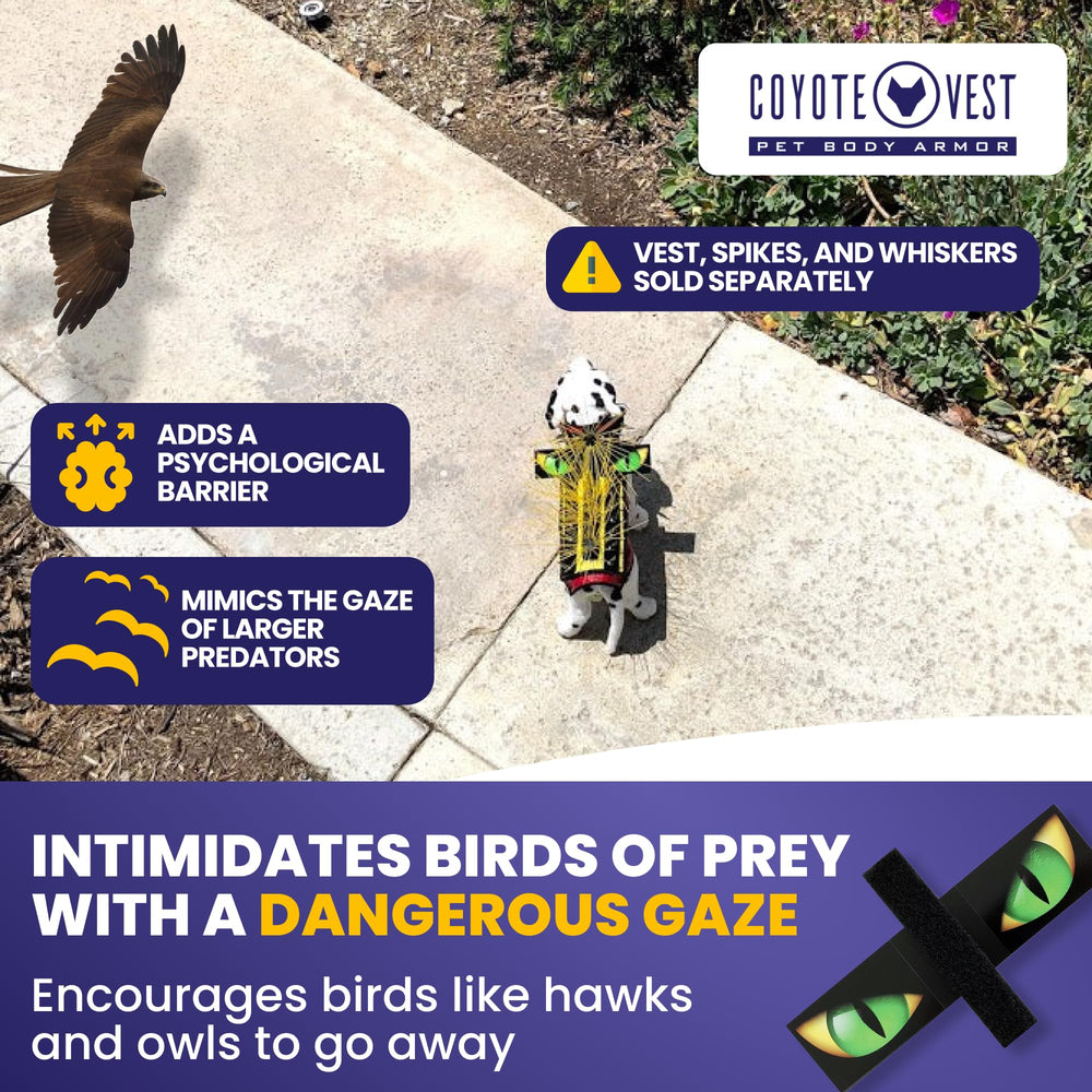 CoyoteVest HawkEyes Velcro attachment demonstrates quick customization