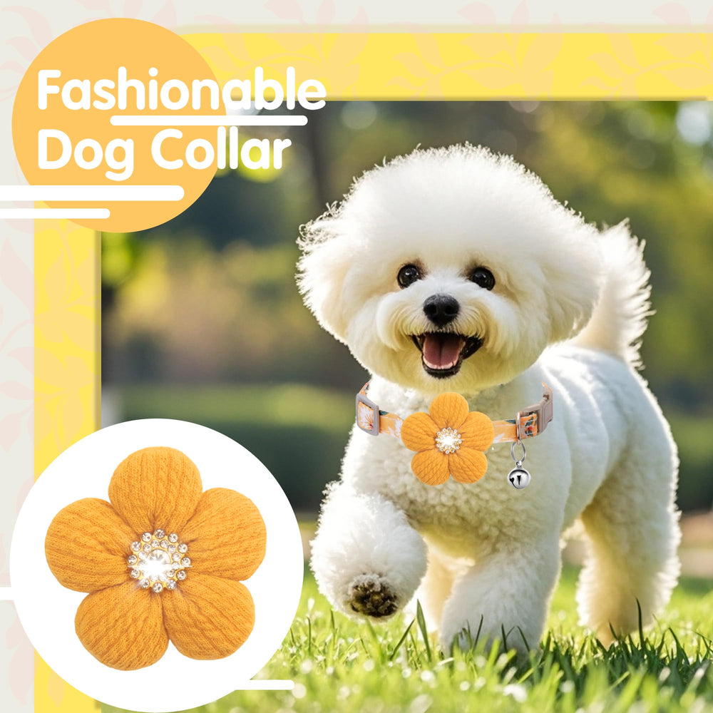 COZIRAE adjustable floral dog collar ideal for daily adventures