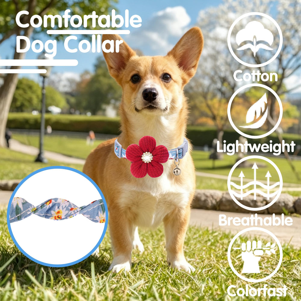 COZIRAE D-ring and buckle detail for easy tag attachment.