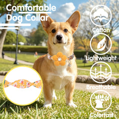 COZIRAE flower collar with silver D ring supports ID tag attachment