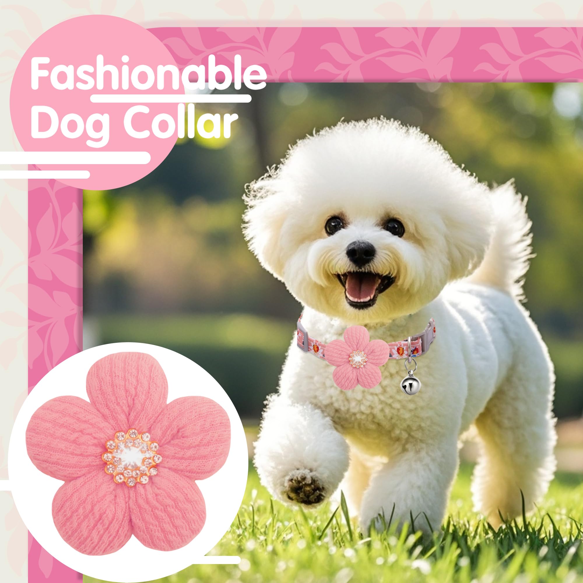 COZIRAE adjustable roll-buckle collar for a secure fit.