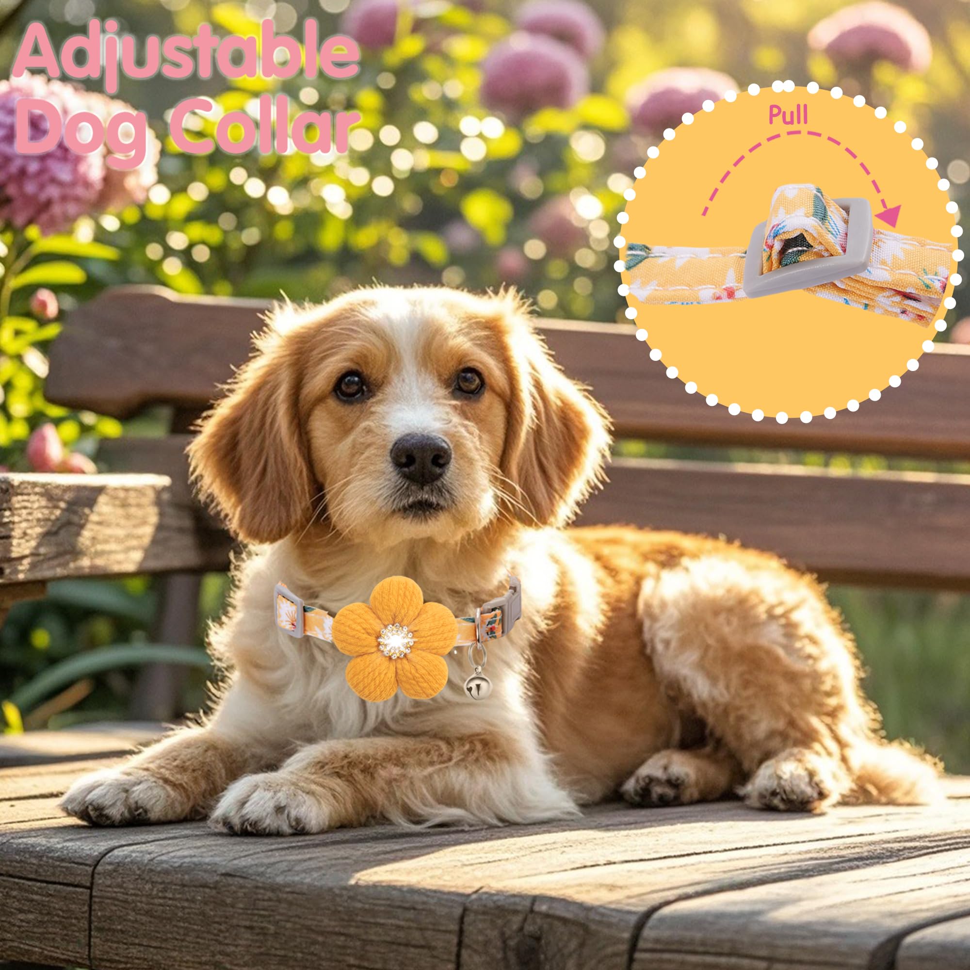 COZIRAE floral collar designed to elevate your pet for photos and occasions
