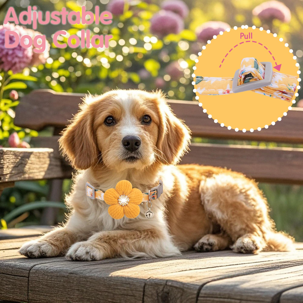 COZIRAE floral collar designed to elevate your pet for photos and occasions
