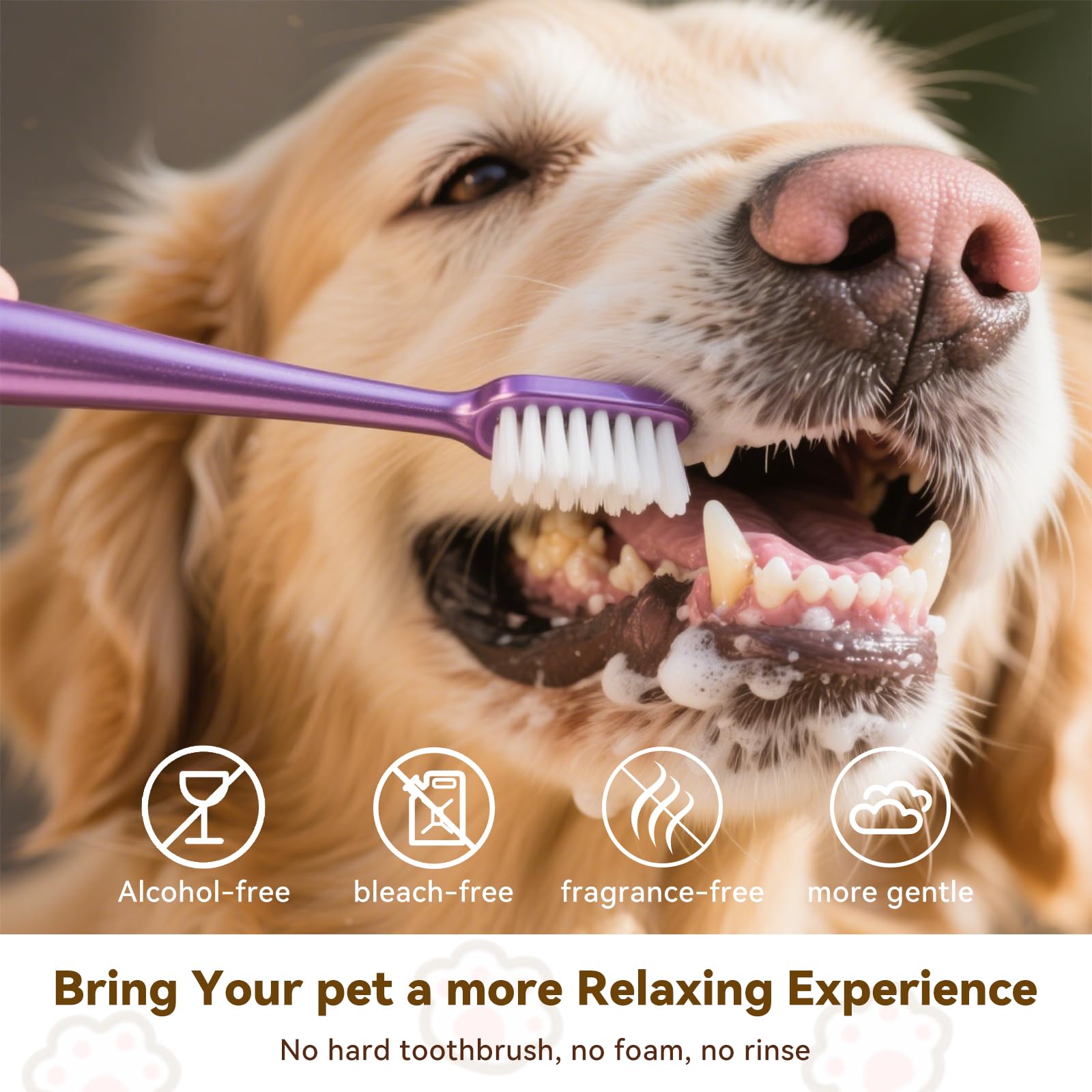 Cozura hypoallergenic alcohol-free formula safe for sensitive pets