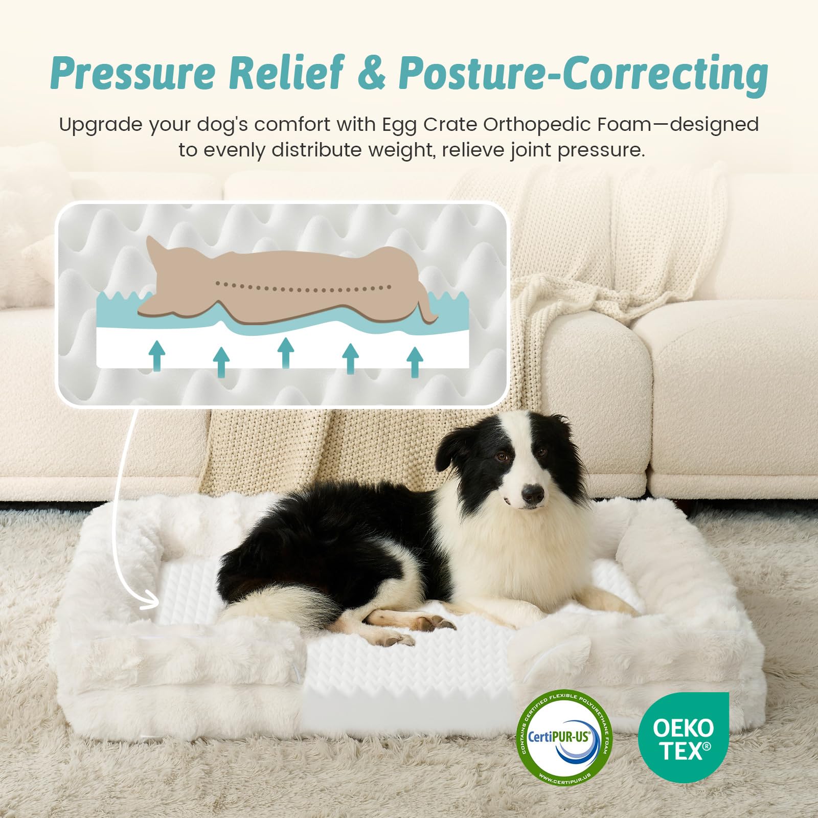 COZY KISS orthopedic dog bed large foam core close-up.
