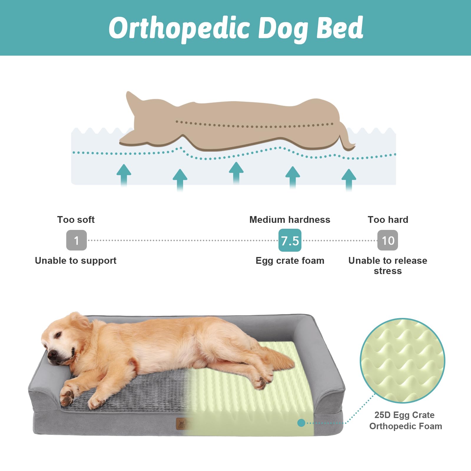 COZY KISS orthopedic dog bed large side view highlights 7.5-inch height for comfort and support.