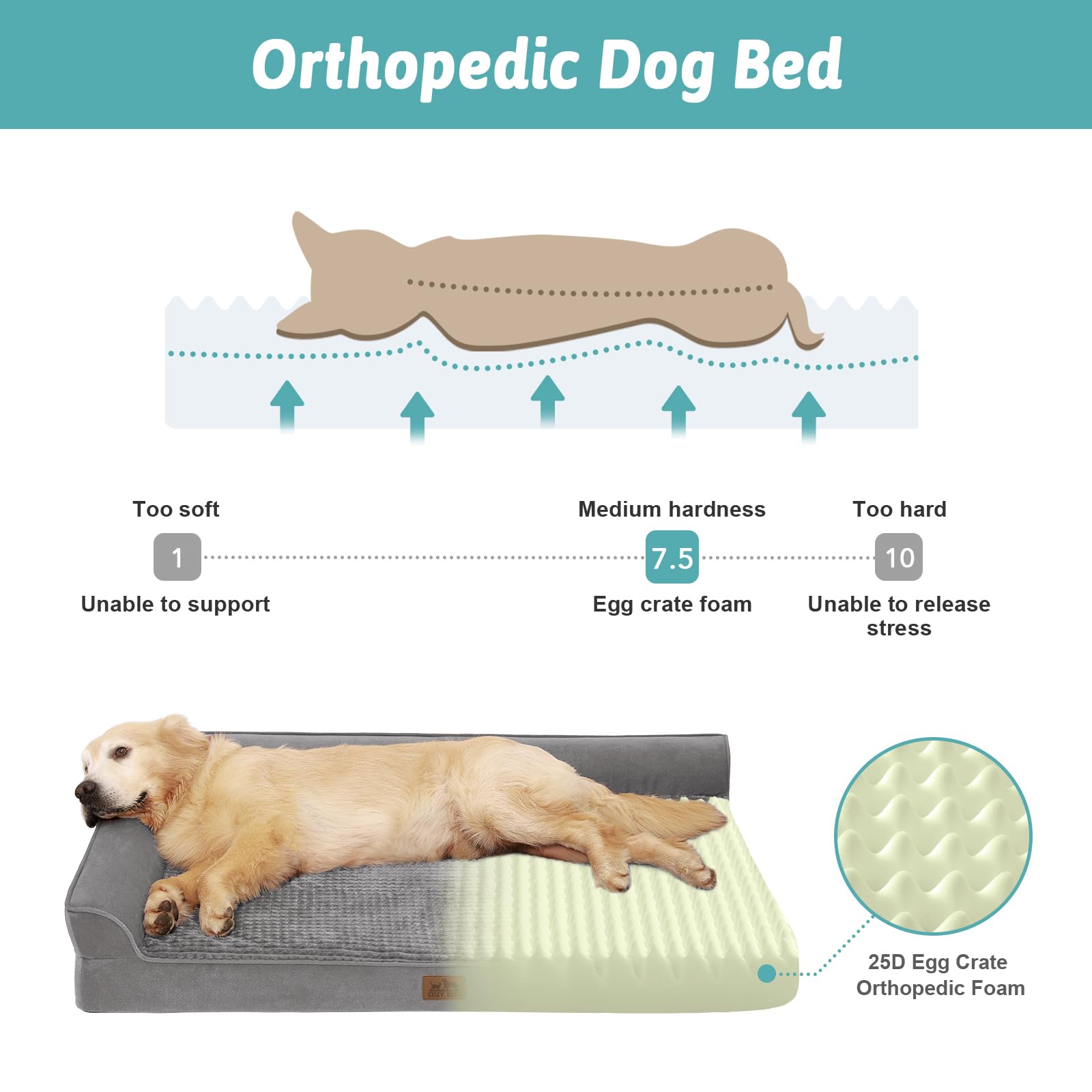 COZY KISS orthopedic bed side profile highlights bolster support for restful sleep.