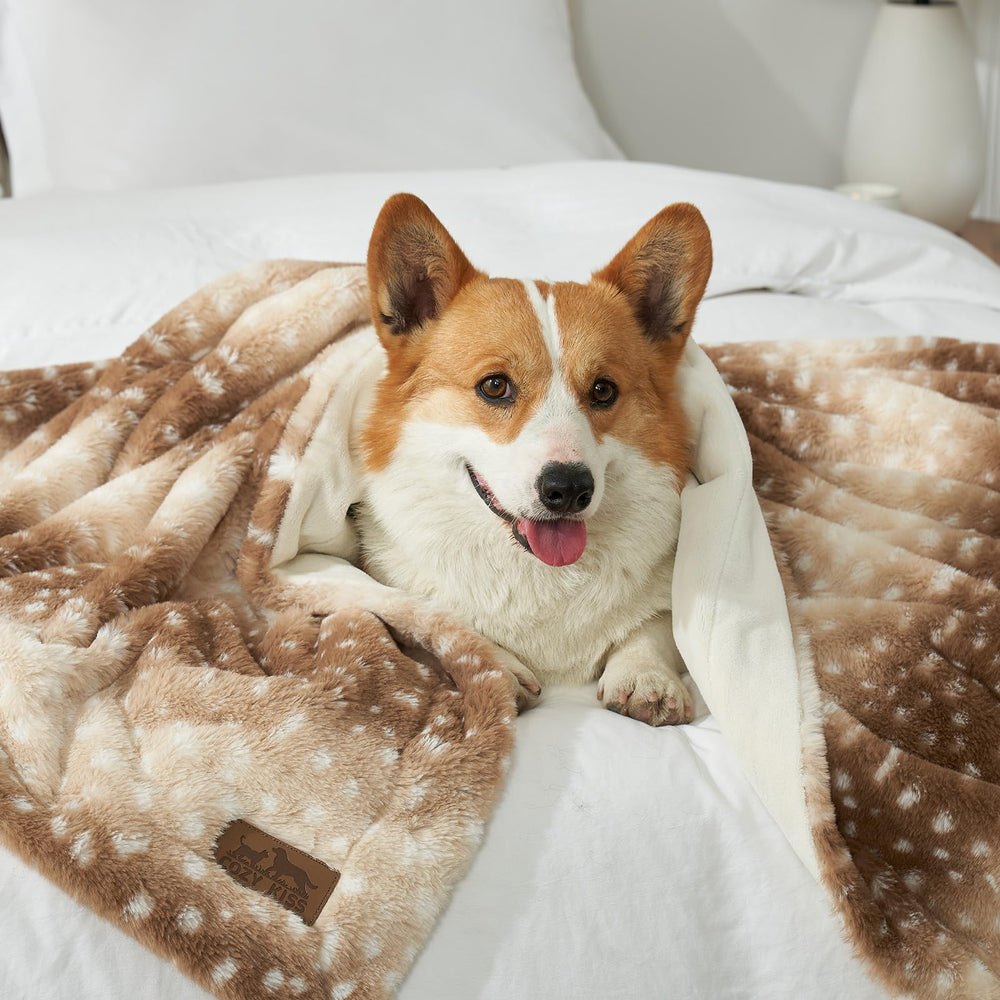 COZY KISS blanket with a snuggling pet illustrates all-season versatility