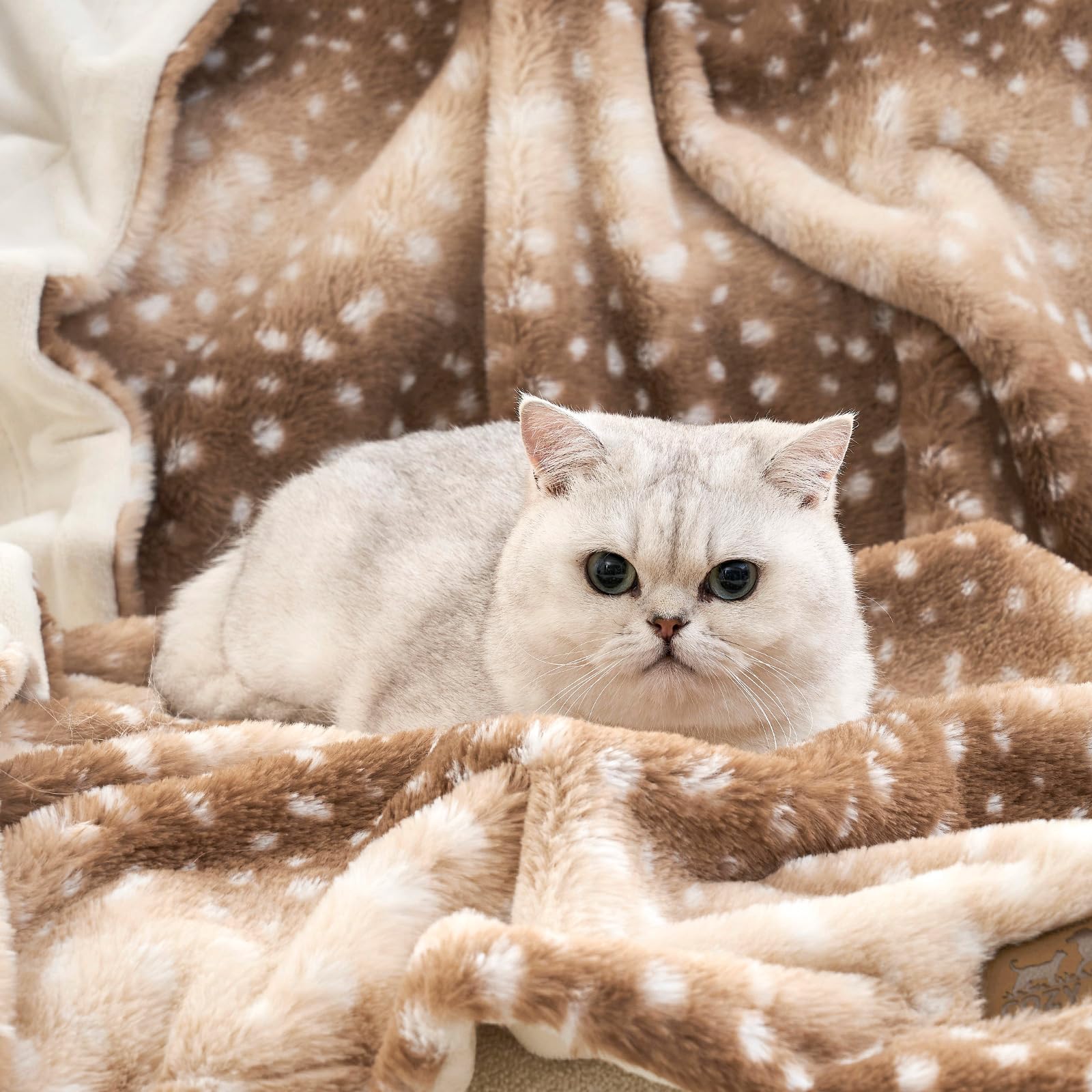 COZY KISS TPU inner layer prevents spills from reaching furniture