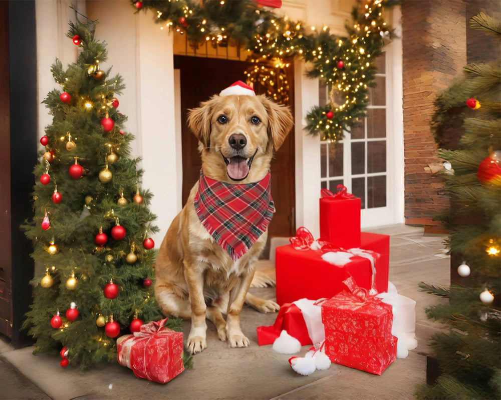 CozyHaus versatile holiday scarf for medium to large dogs.