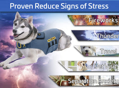 CozyVest pressure-wrap closeup demonstrates swaddling-like comfort aiding anxious dogs