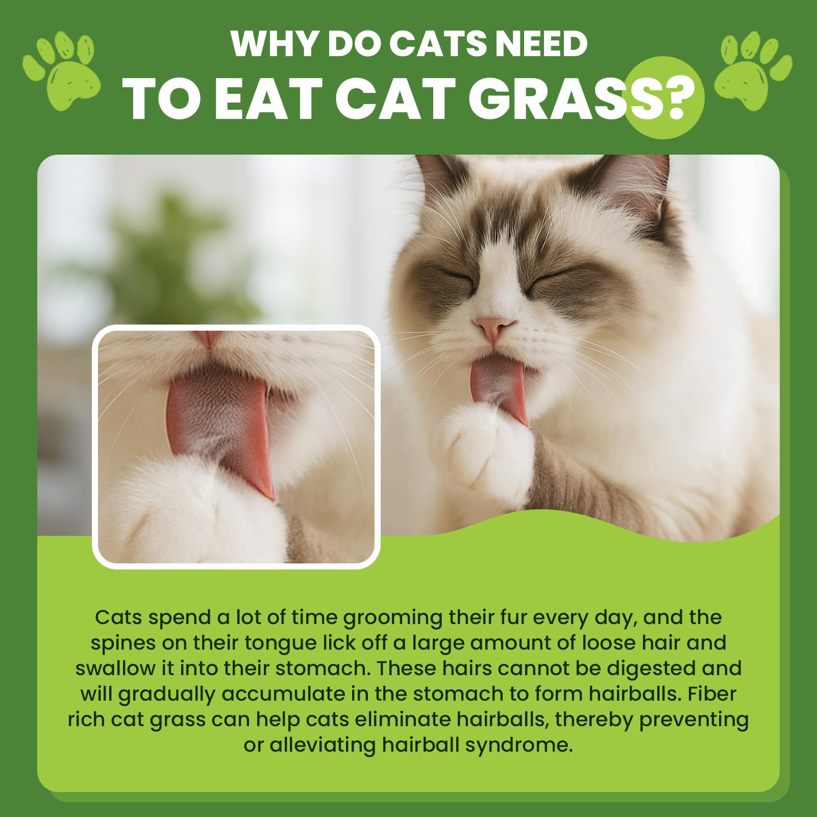 CPFK Cat Grass Sticks dental-action close-up demonstrates textured surface aiding dental care.