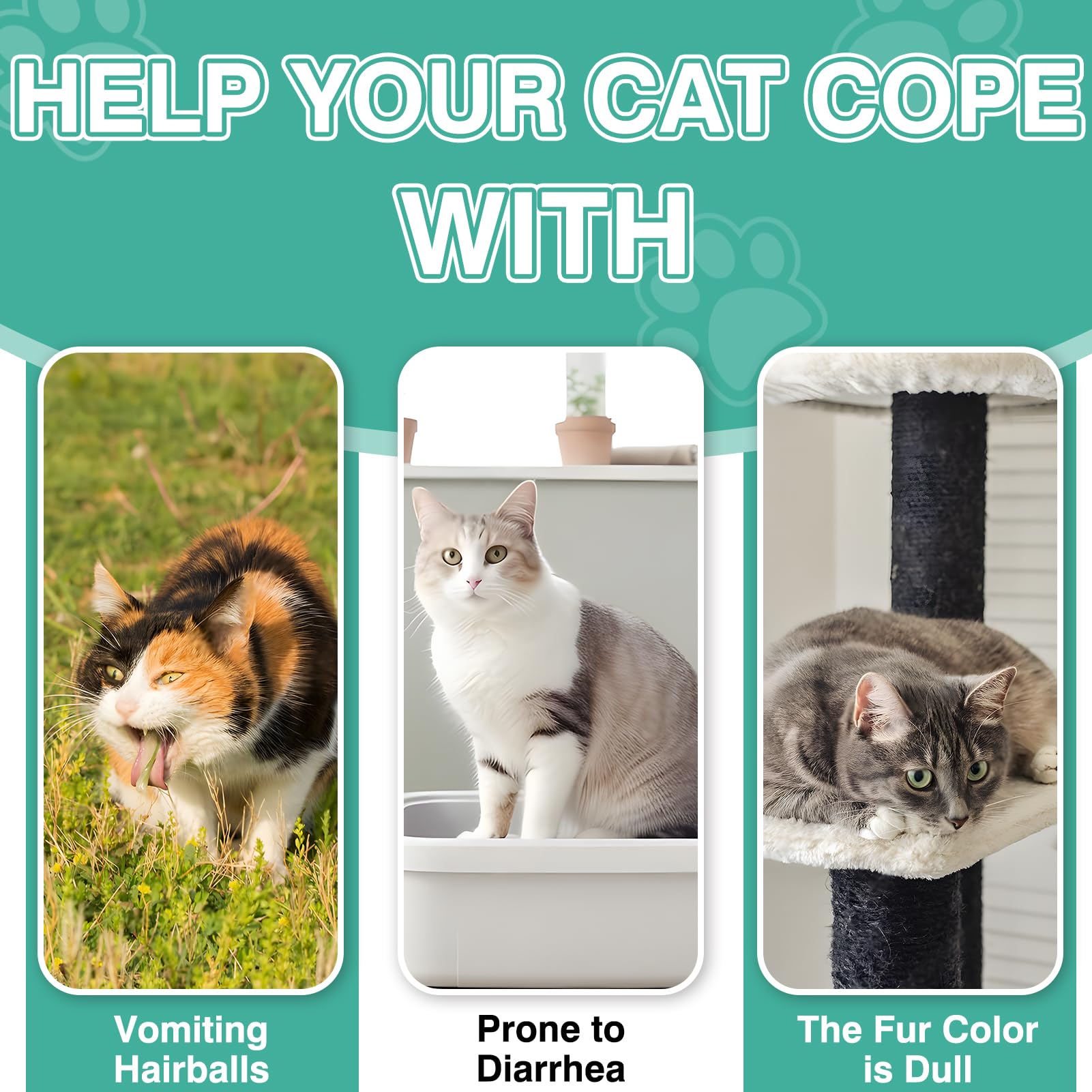 CPFK cat hairball remedy treats feeding scene showing simple daily dose