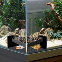 CPLIKE aquarium underground cave with viewing window shows shy bottom dwellers in a natural shelter.