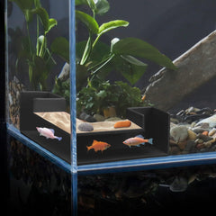 CPLIKE Shrimp Cave Tunnel buried under substrate creates a subtle, engaging hideout.