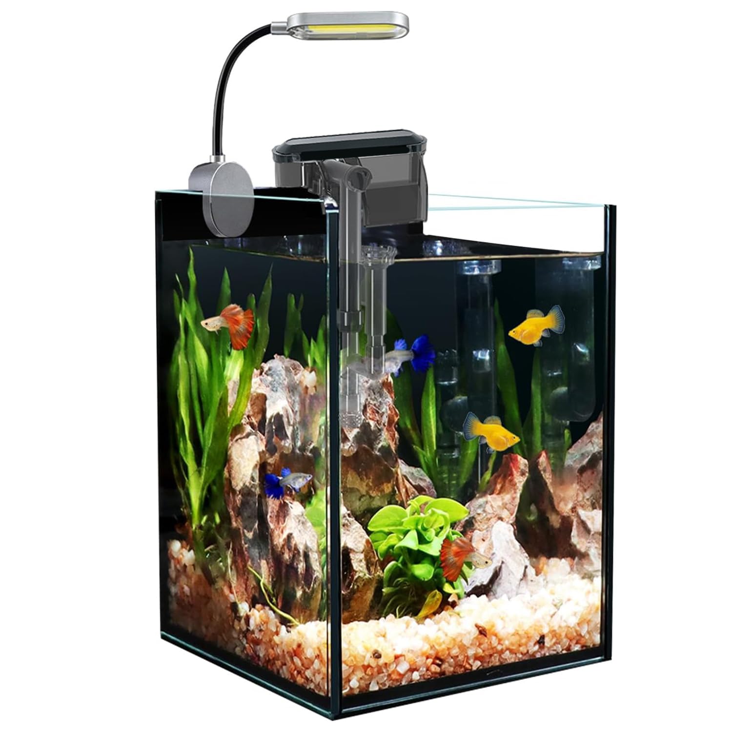 Craftsboys nano glass aquarium front view, ideal compact starter tank for beginner aquascapes.