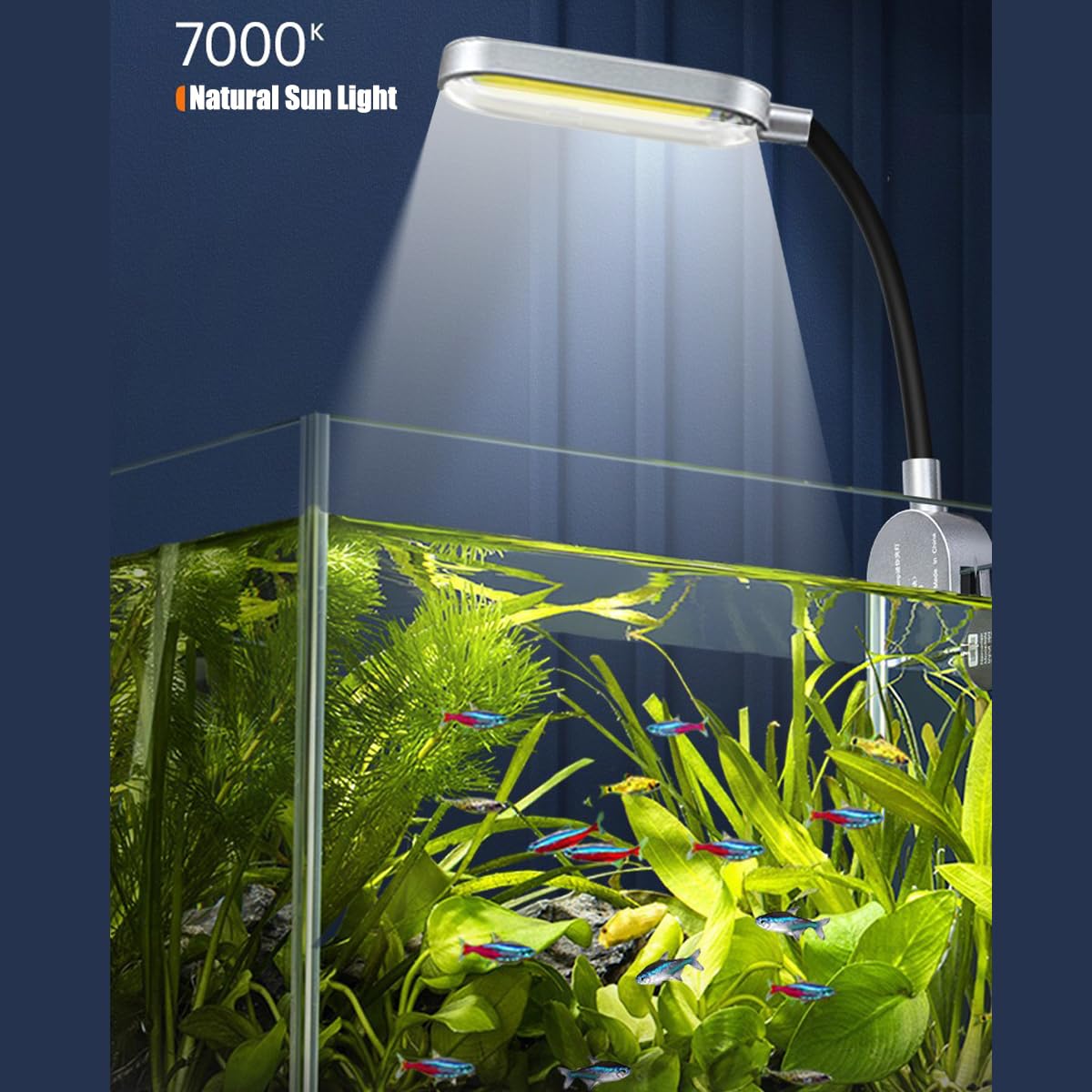 Craftsboys nano glass aquarium side view, space-saving design for small fish setups.