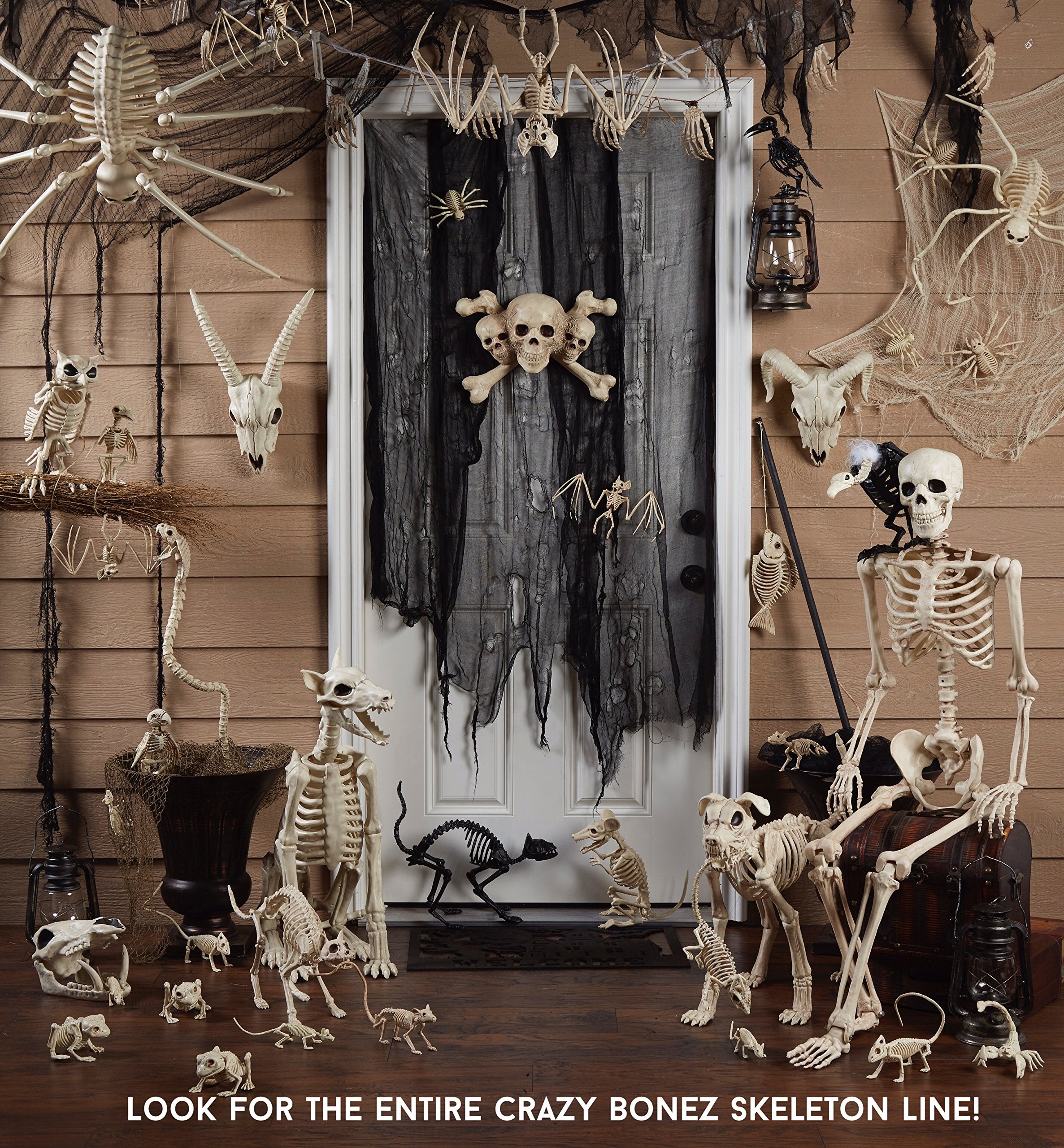 Crazy Bonez Cute Skeleton Cat face close-up highlighting playful expression.