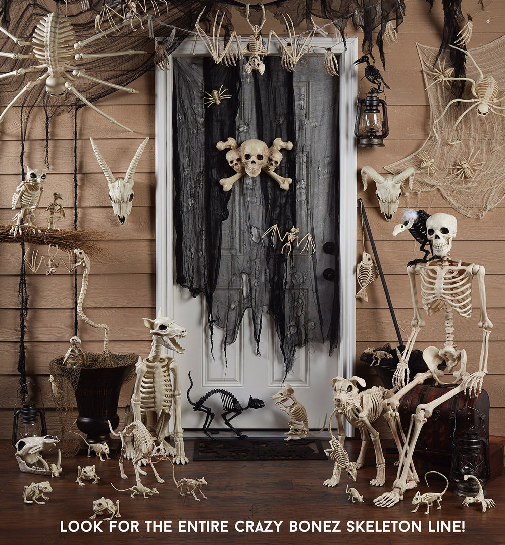 Crazy Bonez Cute Skeleton Cat face close-up highlighting playful expression.