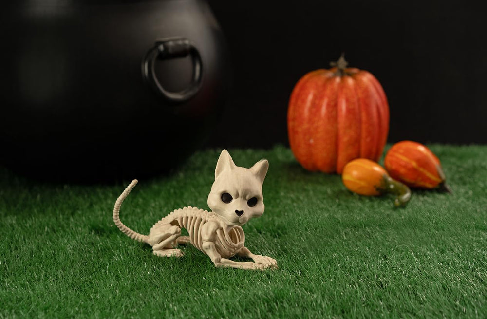 Crazy Bonez Cute Skeleton Cat ribcage detail close-up for character.