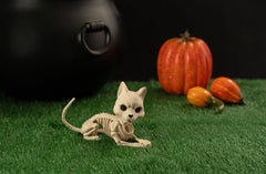 Crazy Bonez Cute Skeleton Cat ribcage detail close-up for character.