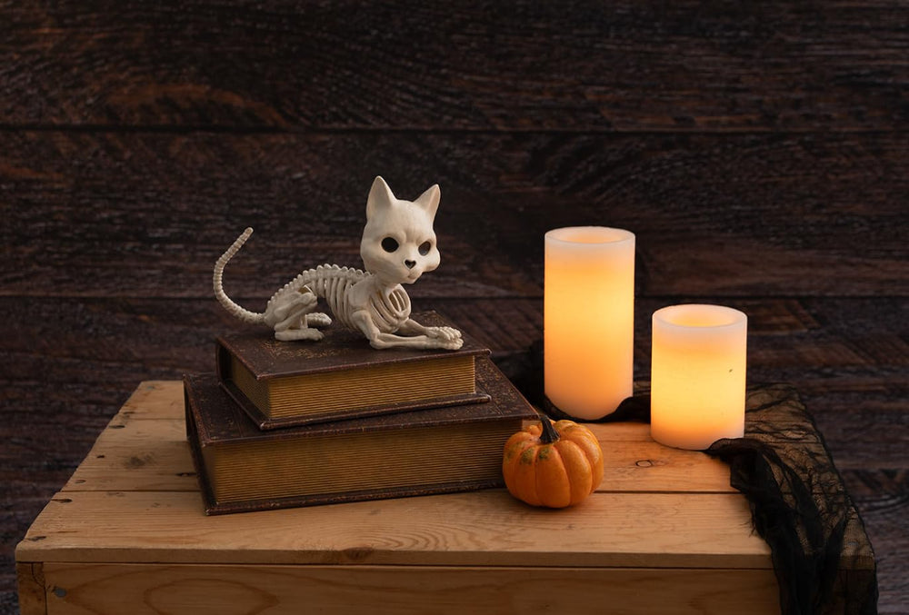 Crazy Bonez Cute Skeleton Cat side view ideal for compact shelf decor.