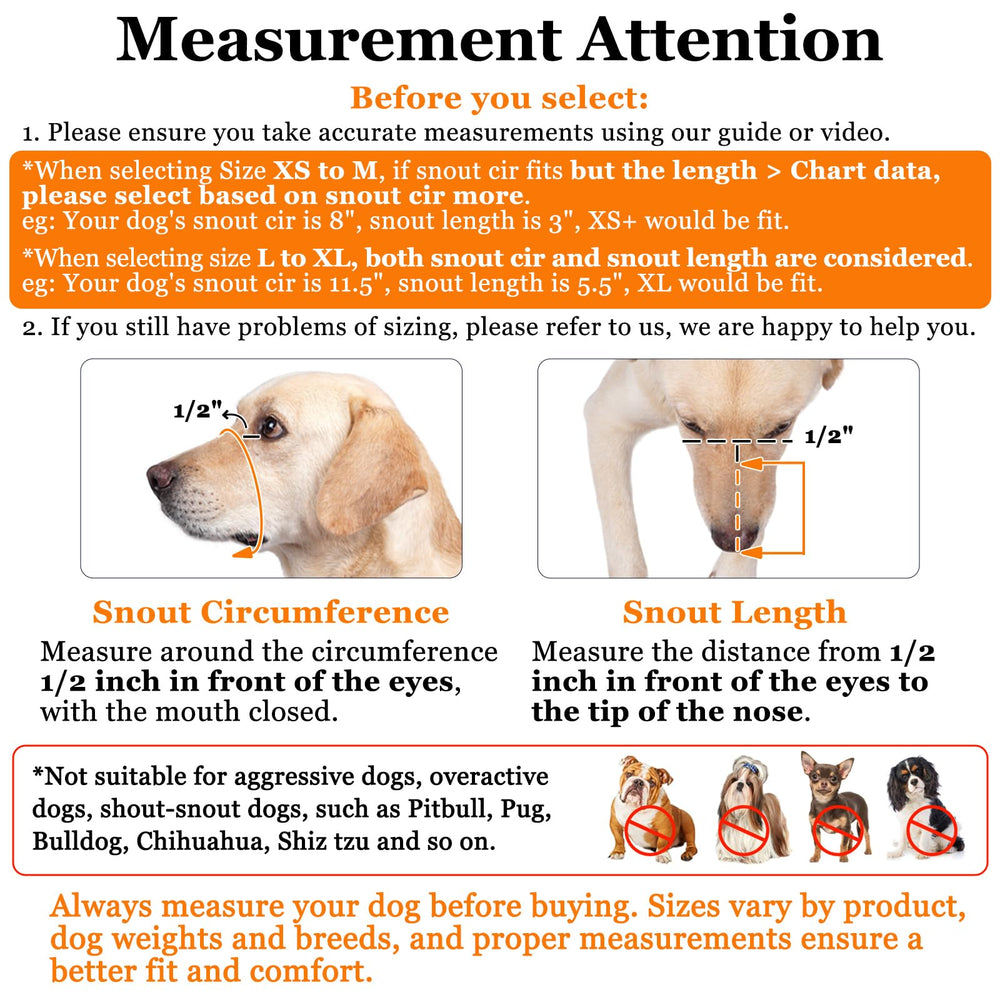 Crazy Felix breathable mesh design keeps your dog cool and comfortable.