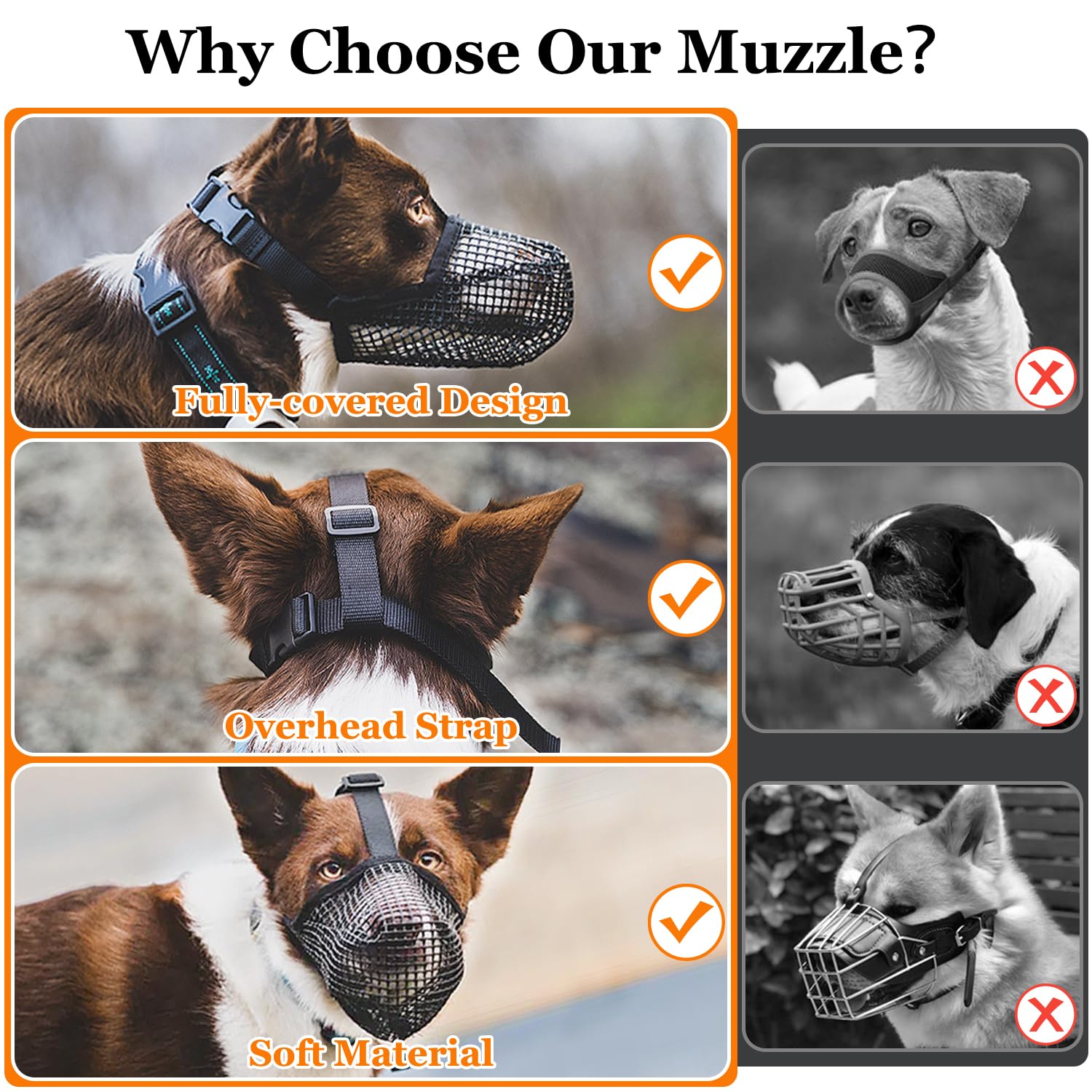 Crazy Felix walks-ready muzzle shown on a dog in a park.