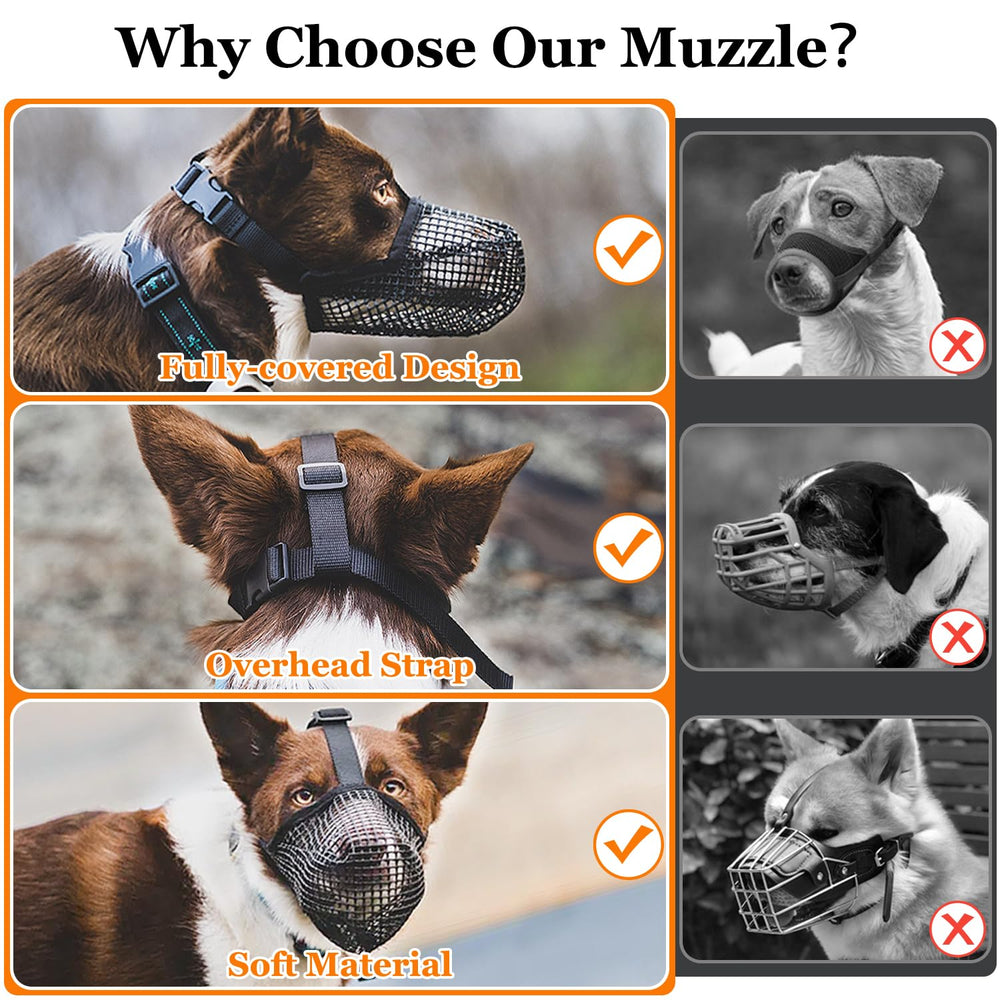 Crazy Felix walks-ready muzzle shown on a dog in a park.