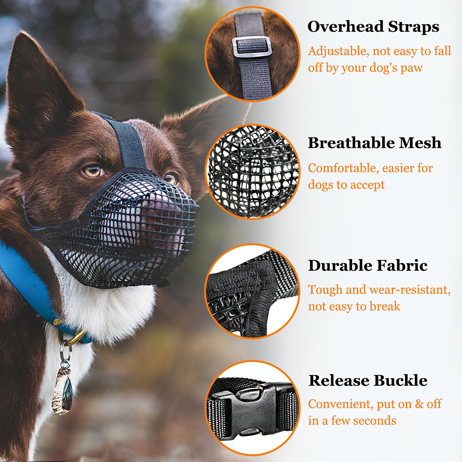Crazy Felix outdoor safety muzzle blocks access to harmful items.