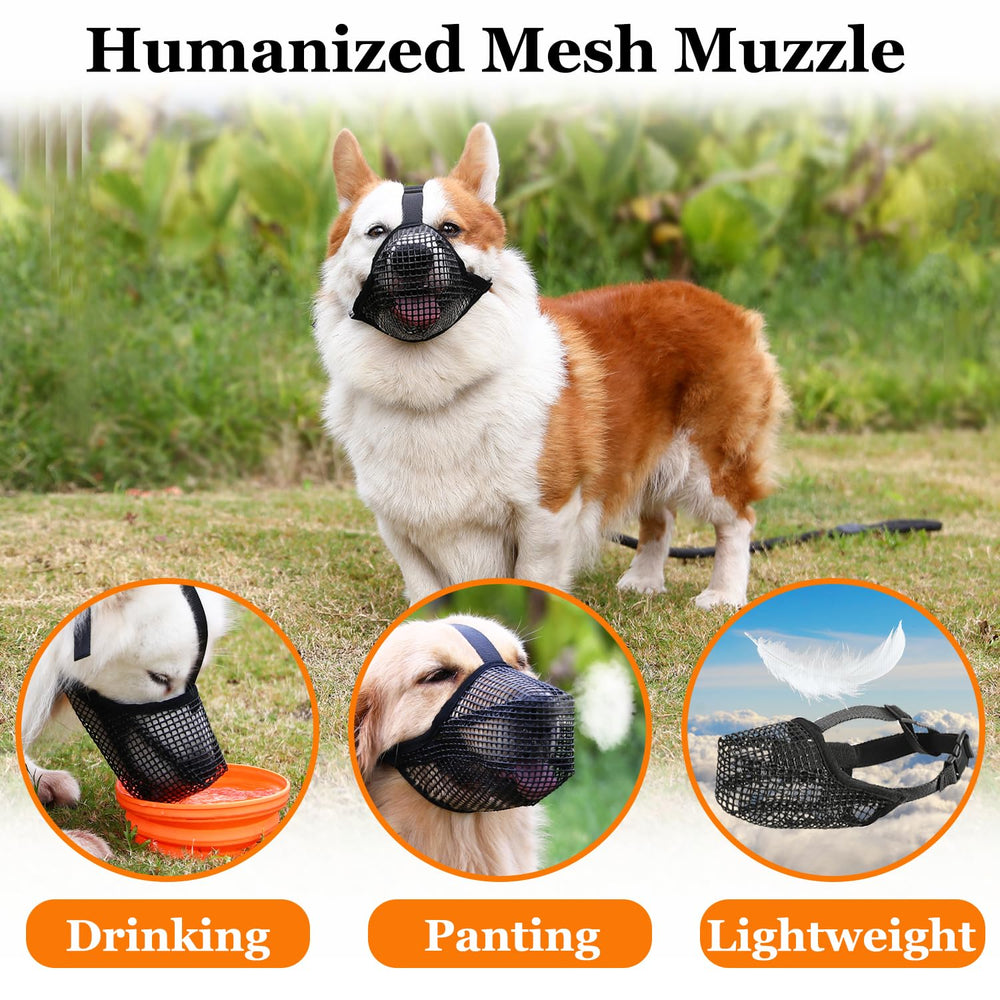 Crazy Felix six-size range covers many breeds from small to XL.