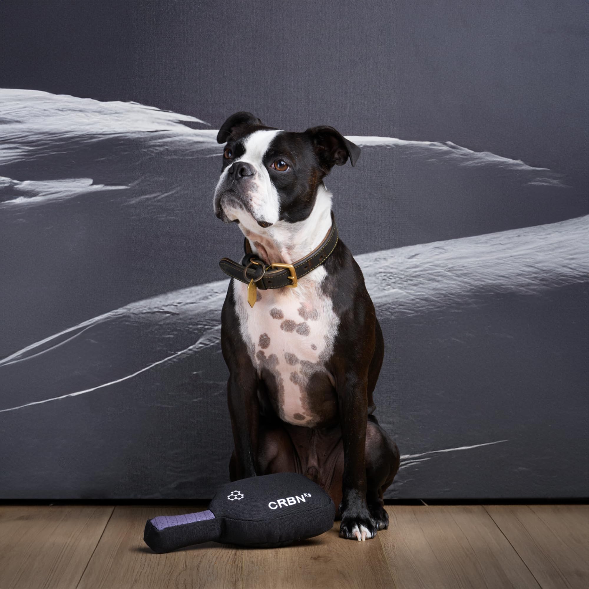CRBN Pickleball squeak dog toy ideal gift idea for pickleball lovers and pups.