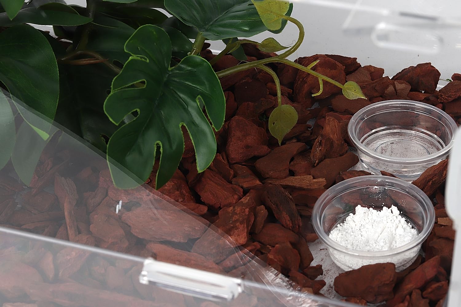 CRITTZOO 0.5oz cups with shallow design promote easy access and minimal waste.
