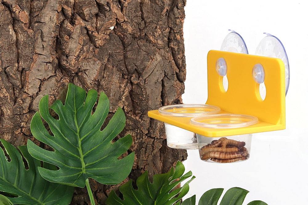 CRITTZOO Feeding Ledge durable materials ensuring long-lasting terrarium accessory