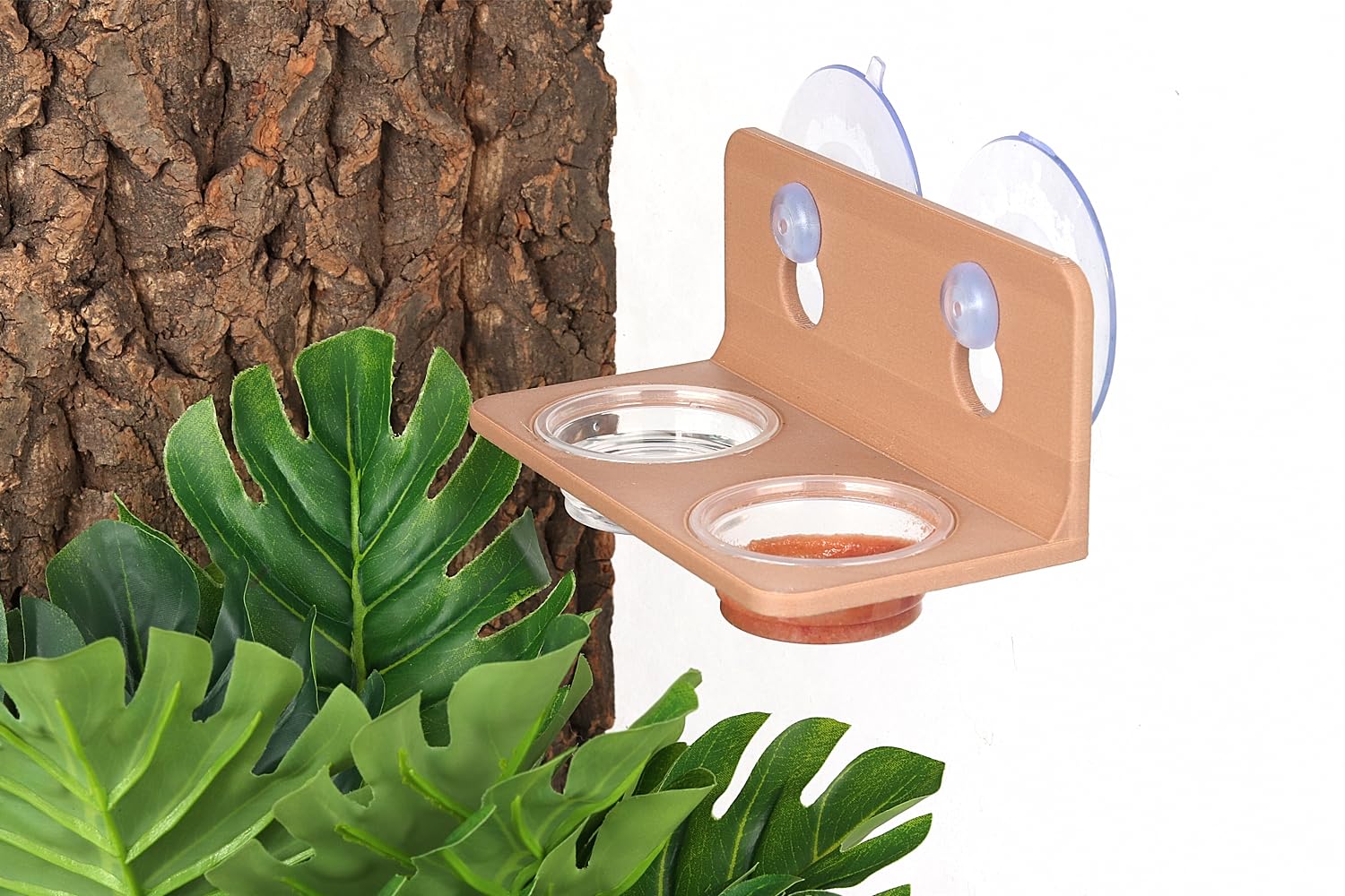 CRITTZOO crested gecko cups show food clearly on CRITTZOO ledge compatible system.
