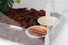 CRITTZOO gecko feeding dish in tank setup for water or food