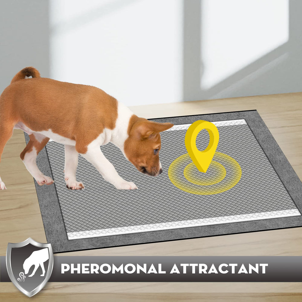 Croci Charcoal Puppy Pad waterproof back prevents floor leaks