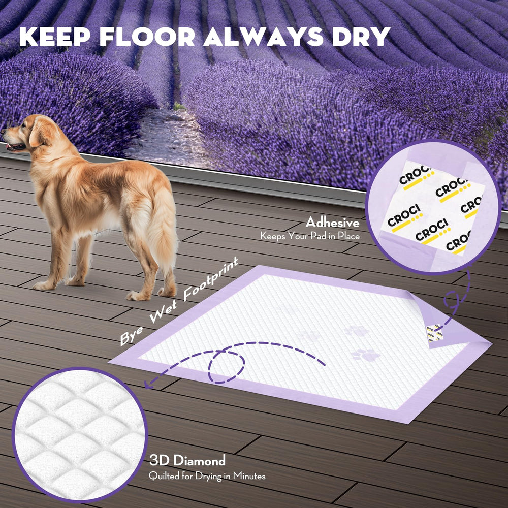 Croci six-layer leak-proof system locks moisture away.