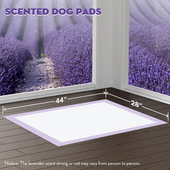 Croci dog pads with adhesive tabs stay secure during training.