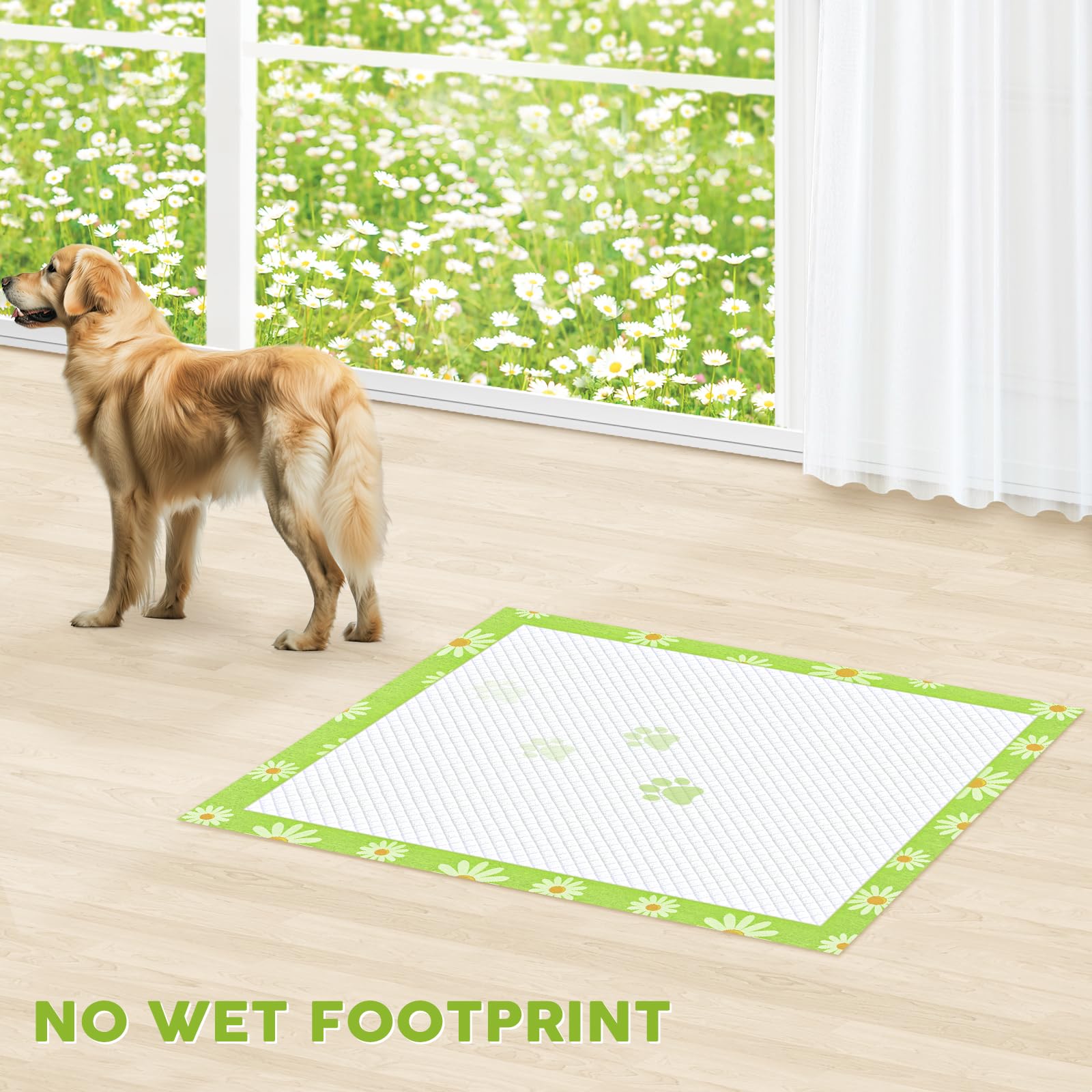 Croci extralarge pads with adhesive tabs secure pads and prevent slipping.