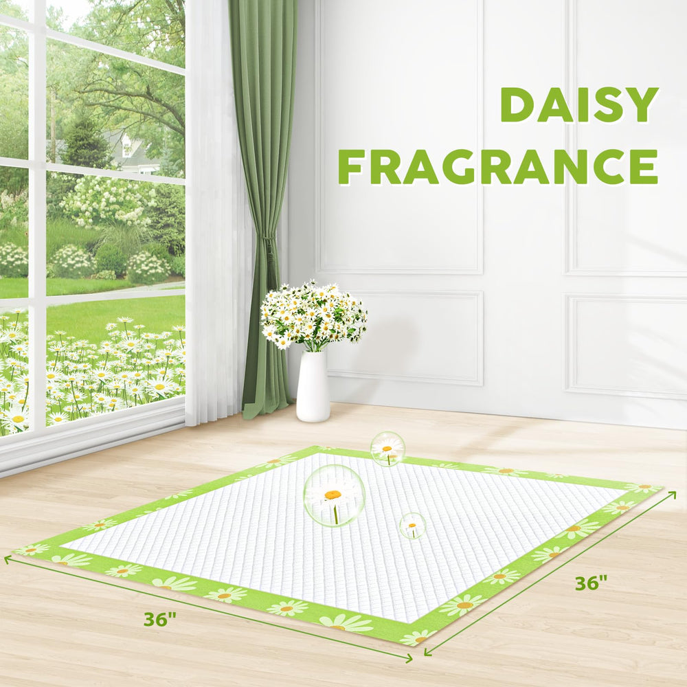 Croci extralarge dog pads top view showing generous 36x36 inch area for bigger pets.