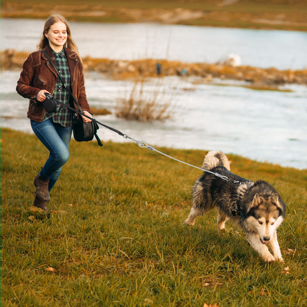CROWN PAWS nylon tape material offers long service life for daily walks.